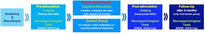 Improved connectivity and cognition due to cognitive stimulation in Alzheimer’s disease